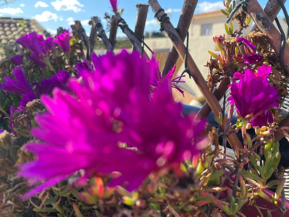 Sol Mediterraneo Algarrobo Costa Εξωτερικό φωτογραφία